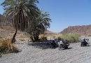 Wadi Al Abyadh, 4. April